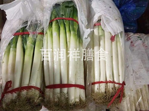 东莞蔬菜批发