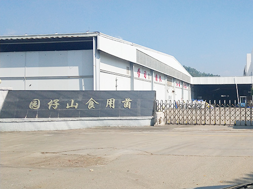 园仔山食用菌