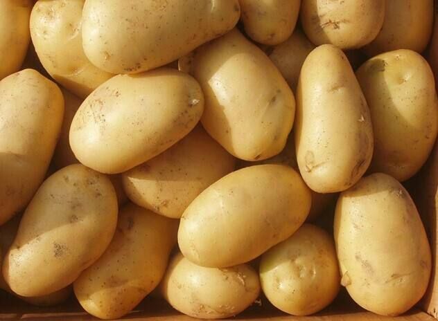 膳食管理详解关于土豆的6个认识误区？