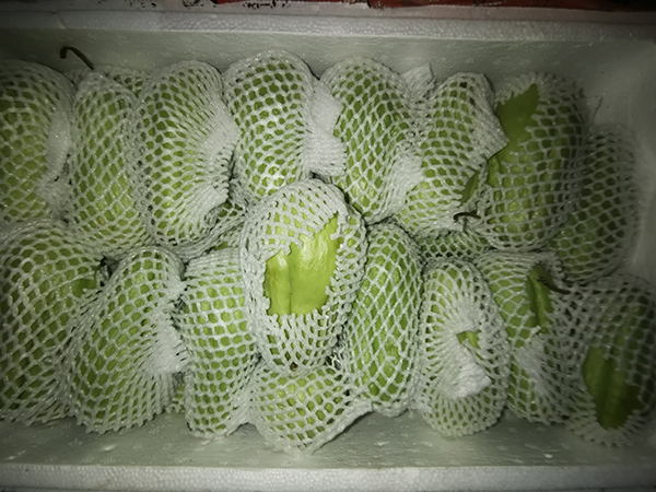沙井蔬菜配送